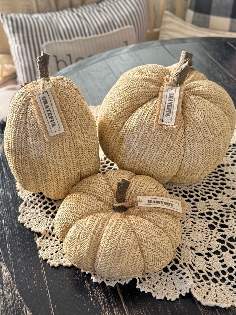 Rustic Farmhouse Pumpkin Set of 3